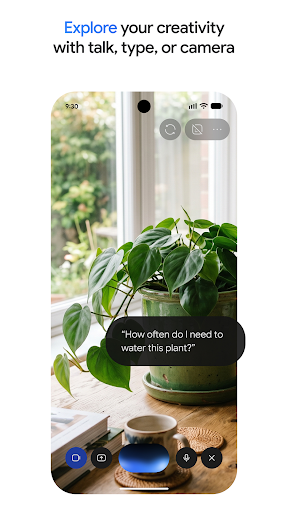 Google Gemini app screenshot 3