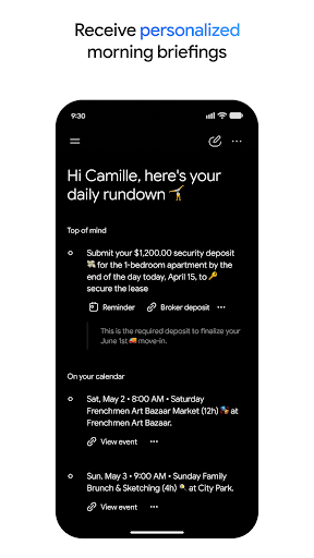 Google Gemini app screenshot 6